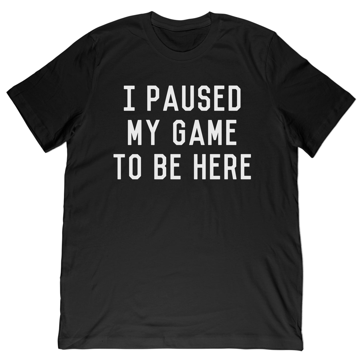Paused My Video Game T-Shirt